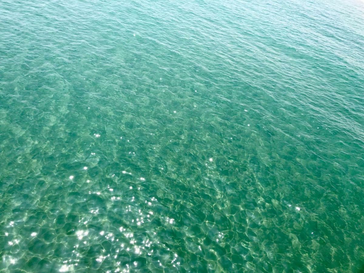 Barcaresa-Maisonnette Vue Mer Pieds Dans L'Eau Wifi Leucate Exterior foto